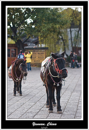IMG_7848.jpg