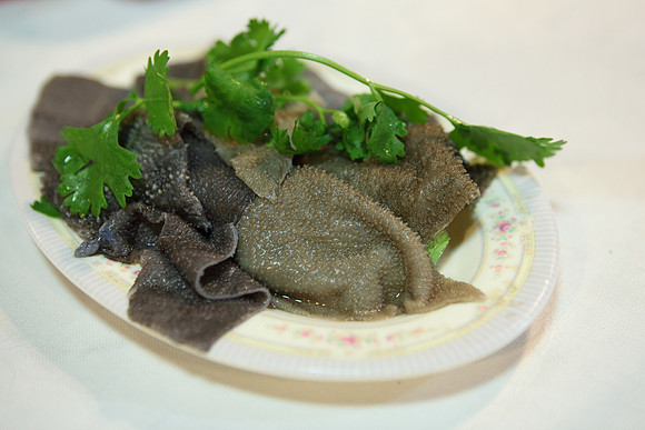 _MG_4960.JPG