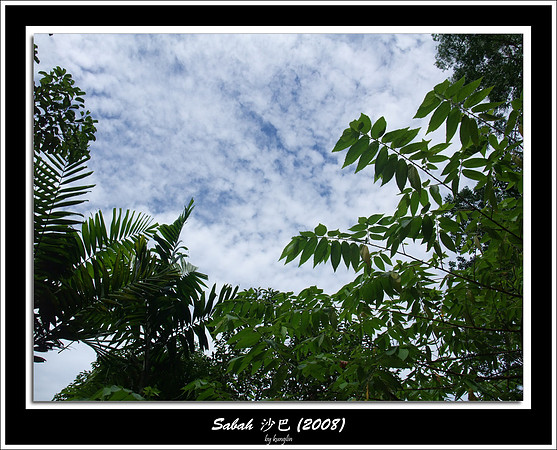 DSCF1637.jpg