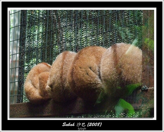 DSCF1635.jpg