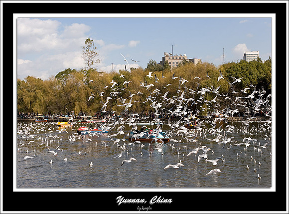 IMG_8797.jpg