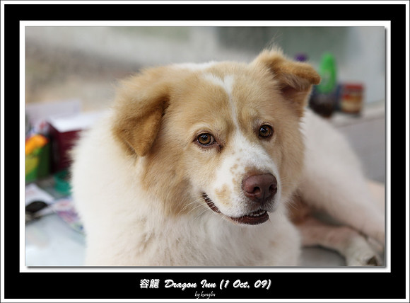 _MG_3202.jpg