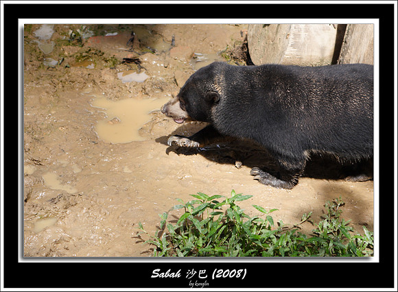 _MG_5927.jpg